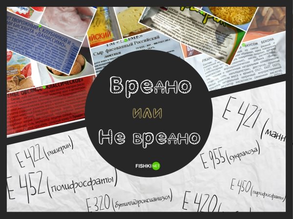 Поймёт только химик: что за добавки входят в состав наших продуктов питания Пищевые добавки, безвредно, вред, продукты питания, составы