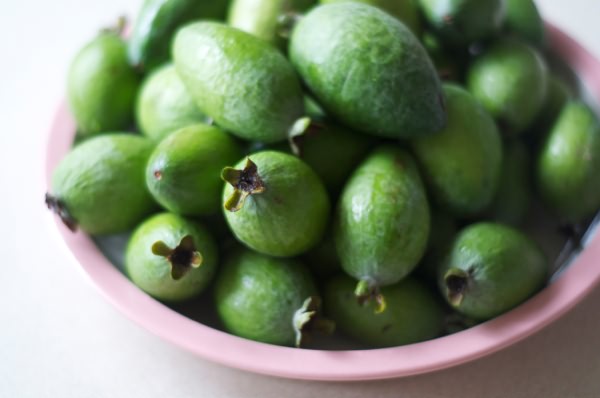 feijoa_03