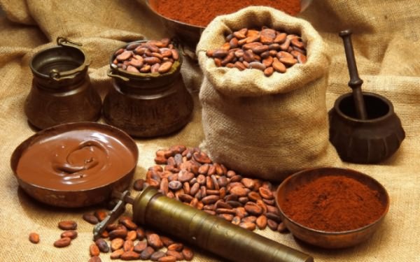 Бобы какао: польза и вред