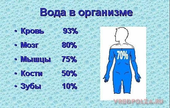 Беременным стоит следить за балансом воды в организме и употреблять только качественную воду