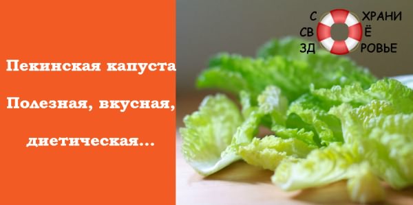 Фото пекинской капусты