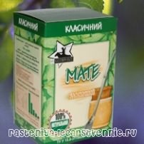 Чай мате - польза и вред, как заваривать