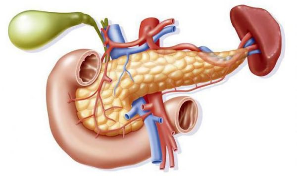 продукты полезные для печени и поджелудочной железы