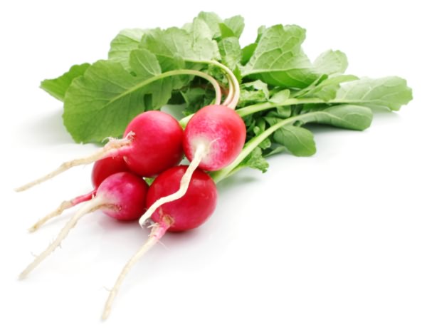 bunch fresh radish isolated